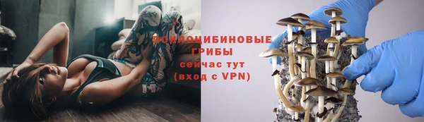МДПВ Корсаков