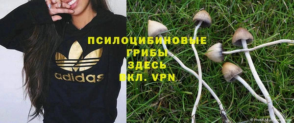 МДПВ Корсаков